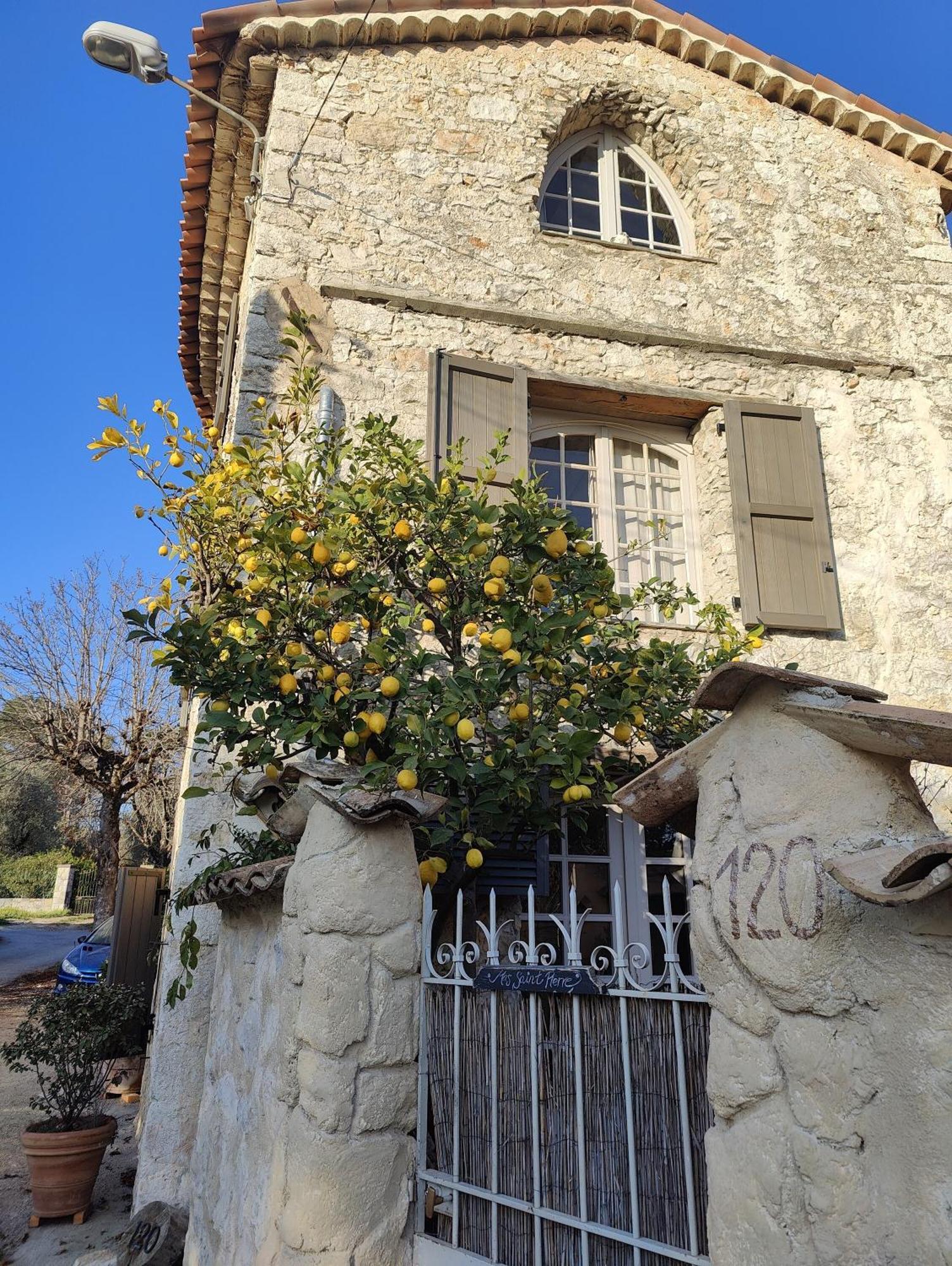 Le Mas Saint Pierre Roquefort Les Pins Bagian luar foto